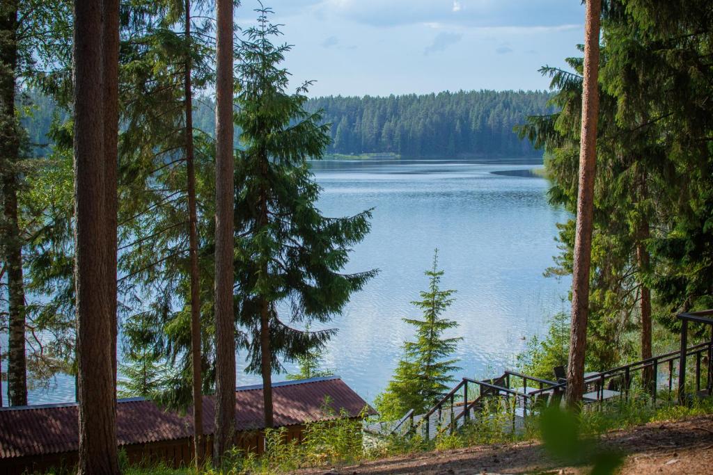 a view of a lake through the trees at Berendeevo Tsarstvo in Valday