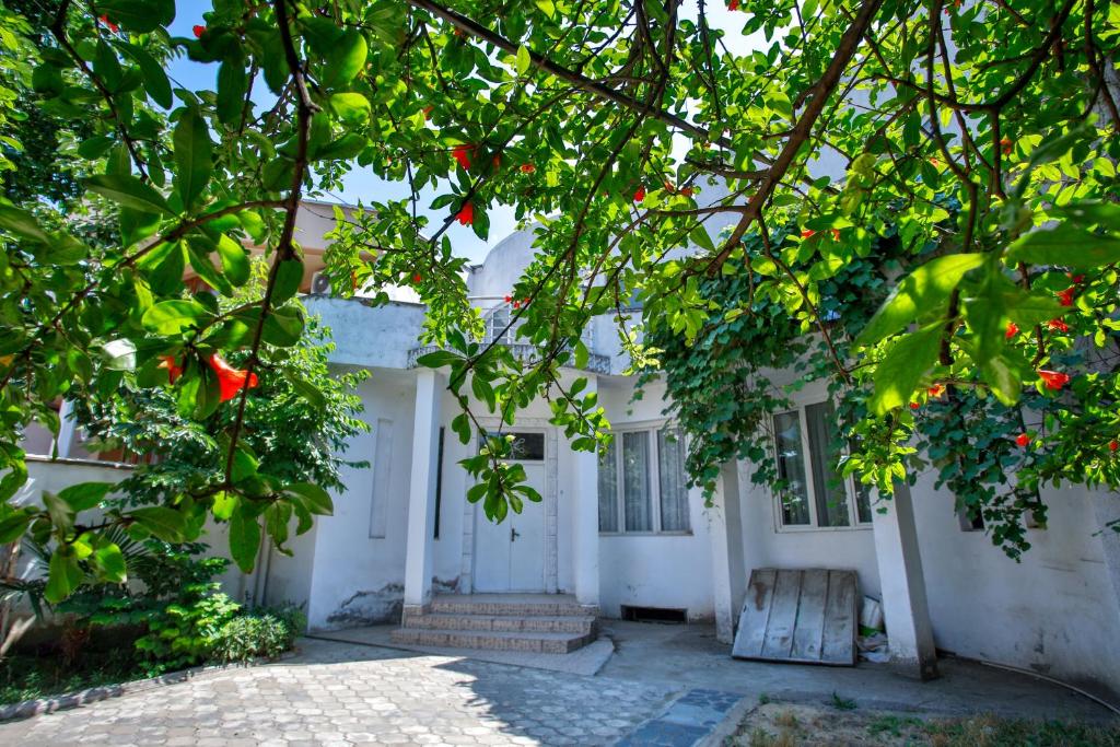 Zahrada ubytování Pospolita Guest House