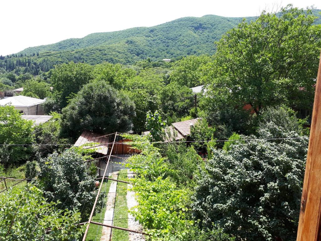 Φυσικό τοπίο κοντά σε αυτό το bed & breakfast
