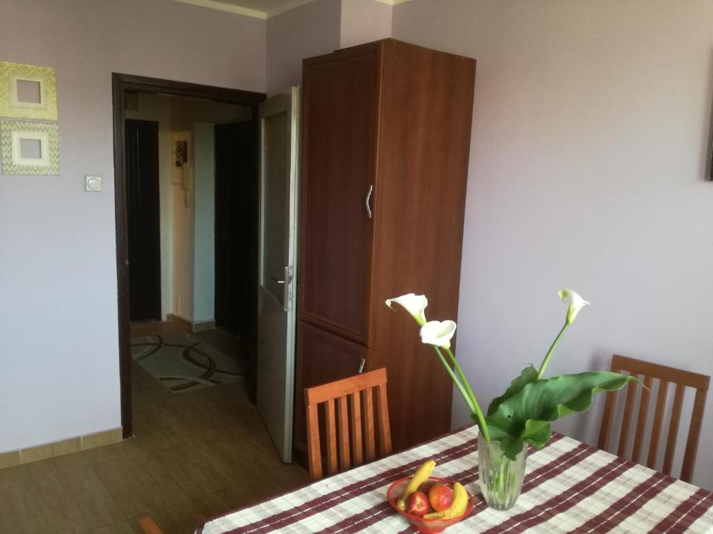 Fotografie z fotogalerie ubytování Apartman LENA v destinaci Aranđelovac