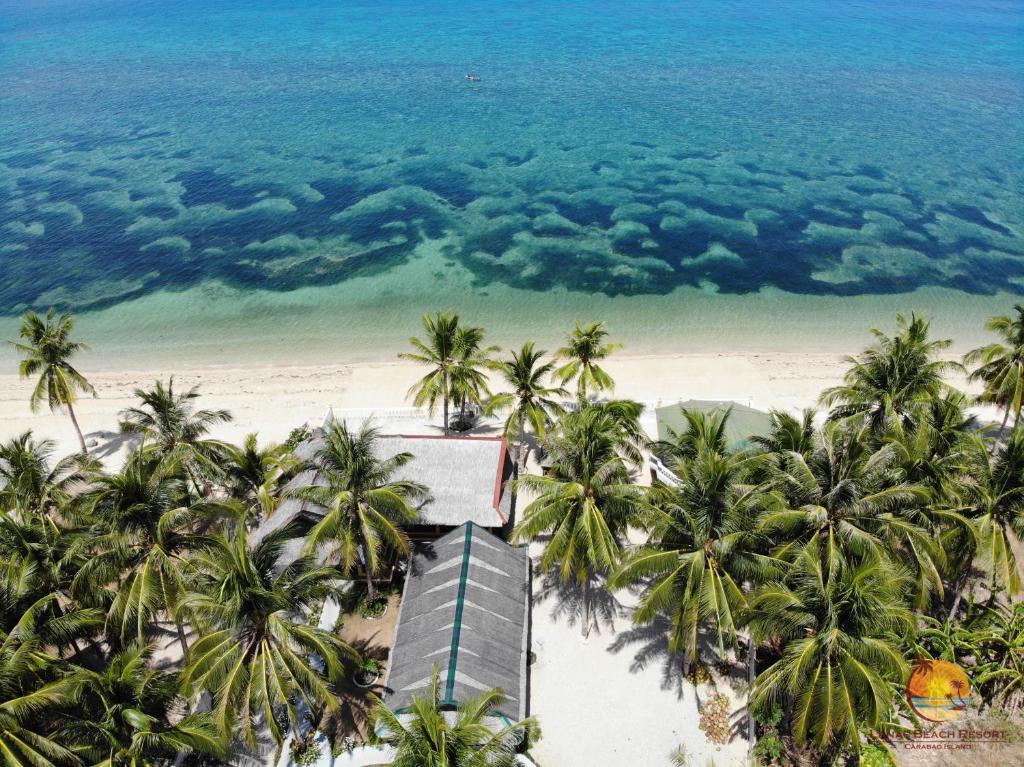 an aerial view of a beach with palm trees and the ocean at Lanas Beach Resort in San Jose