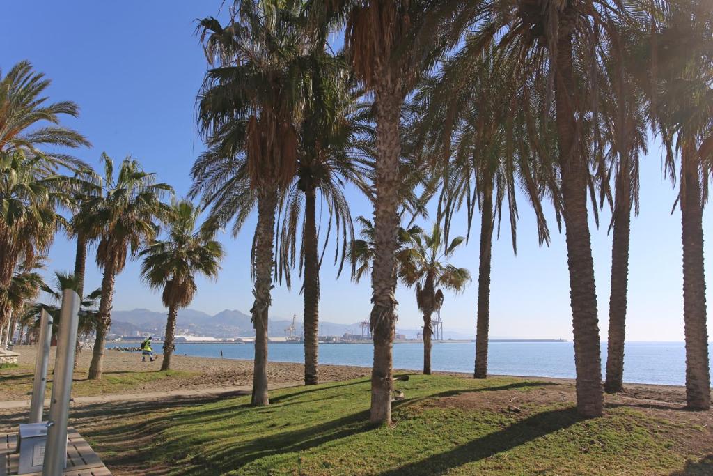 Fotografia z galérie ubytovania Apartament Mariya 18 v destinácii Málaga