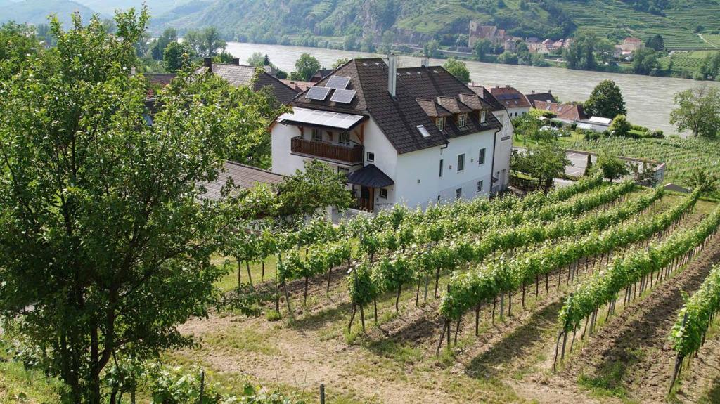 a large white building on a hill next to a vineyard at Weinbau und Gästezimmer Pammer in Mitterarnsdorf