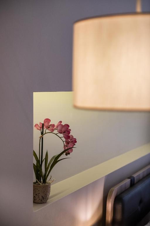 Viaggio Elegant Rooms - 7