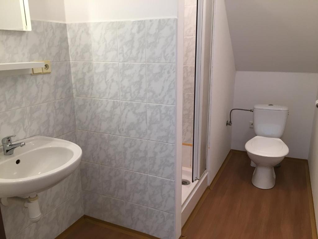 Koupelna v ubytování Penzion Hvozd