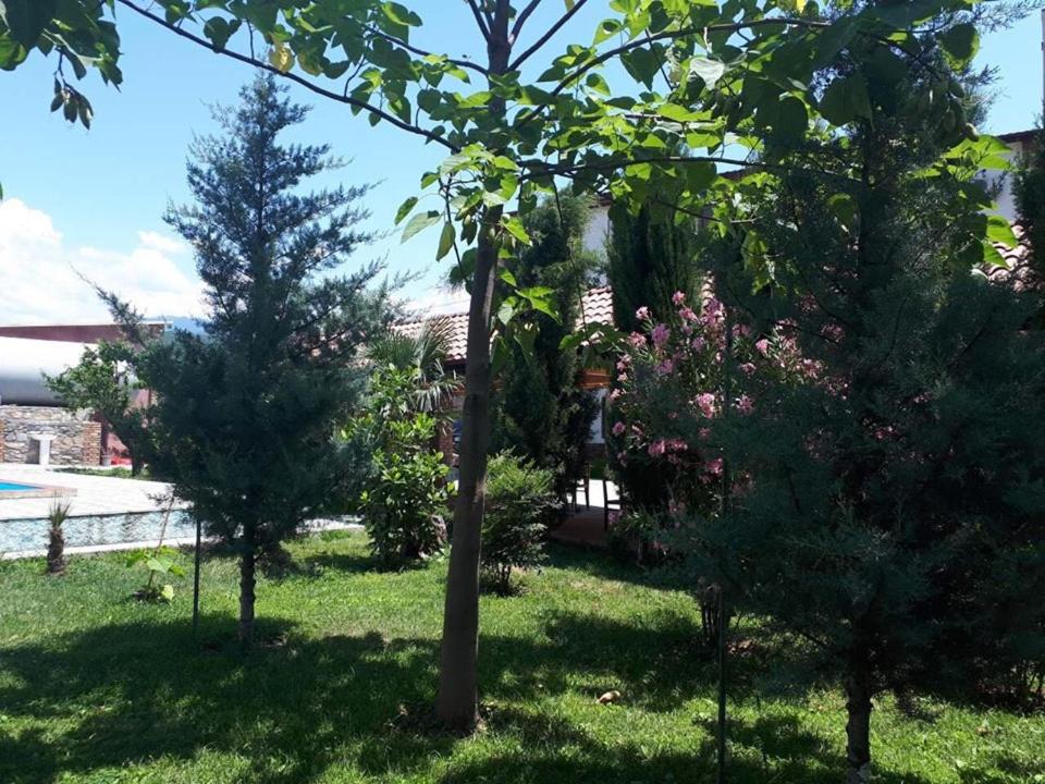 Zahrada ubytování Shaloshvili's Cellar Hotel
