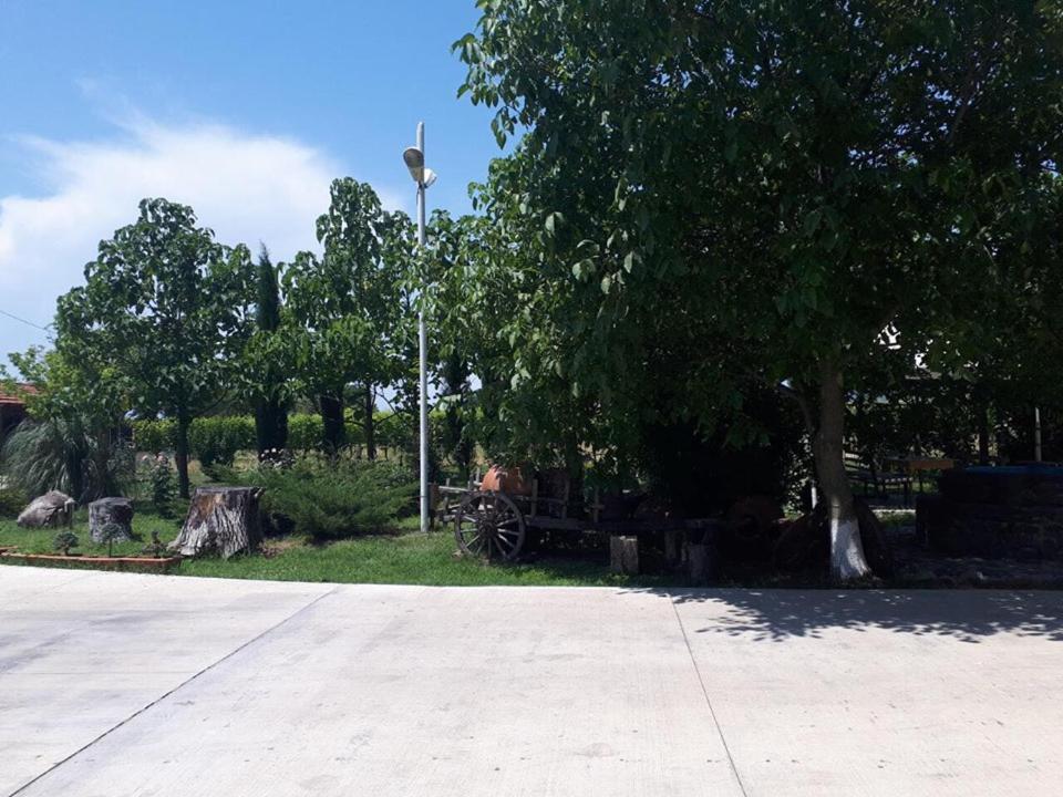 Zahrada ubytování Shaloshvili's Cellar Hotel