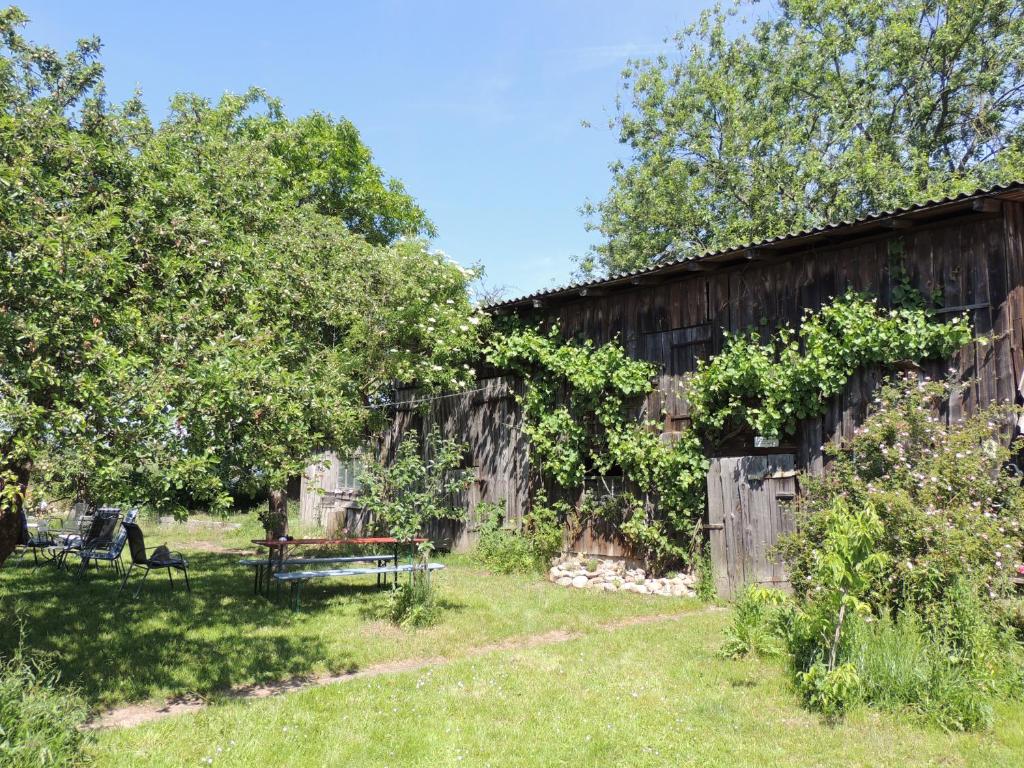 a barn with a picnic table in a yard at Kranichruf in Schöneberg