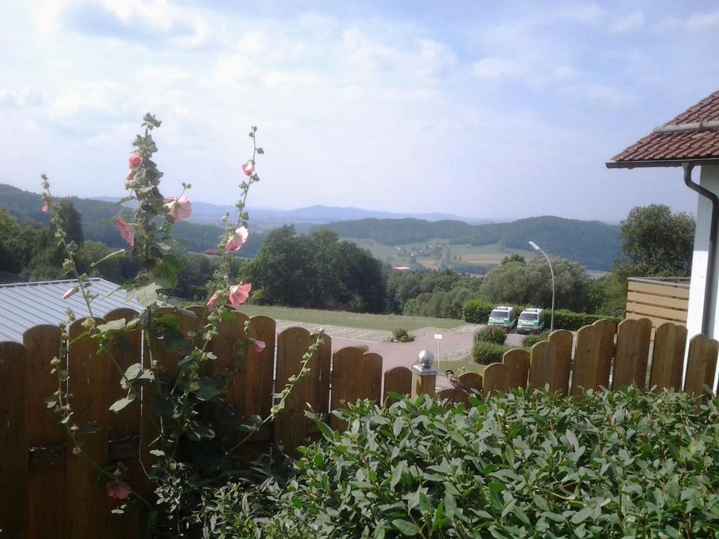 Příroda nedaleko apartmánu