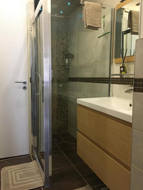 a bathroom with a glass shower and a sink at DUPLEX 52m2 hyper centre, petite TERRASSE exposée Sud in Dieppe