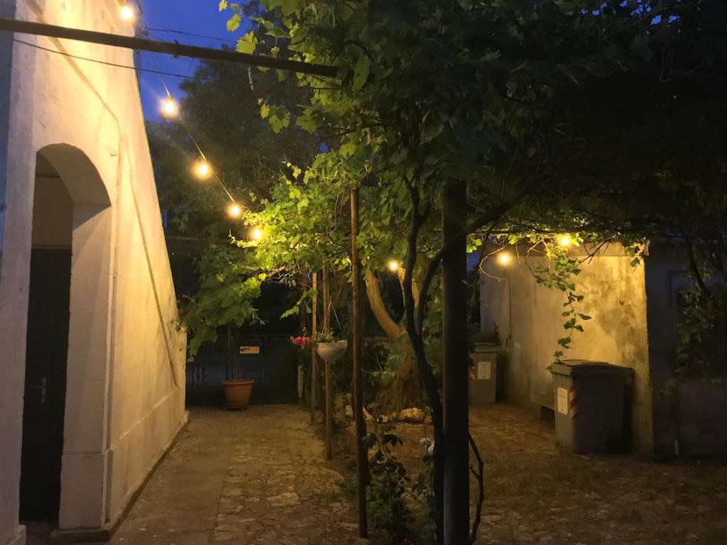 Zahrada ubytování Il Paradiso dei nidi