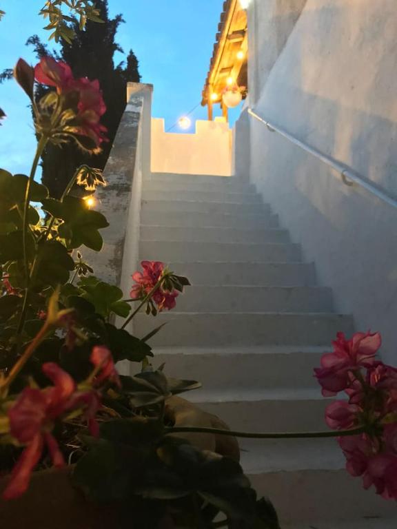 Fotografie z fotogalerie ubytování Il Paradiso dei nidi v destinaci Gioia del Colle