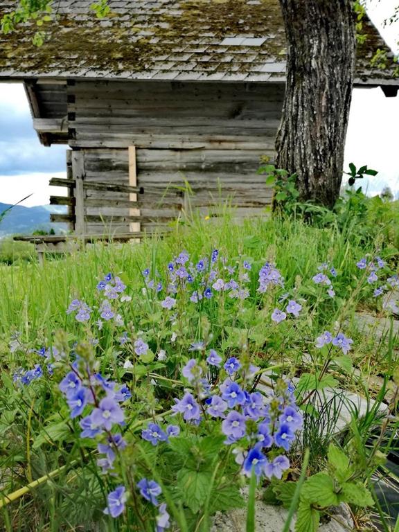 Zahrada ubytování Ferienhof Kreilgut