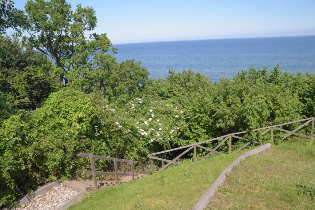 Příroda nedaleko apartmánu