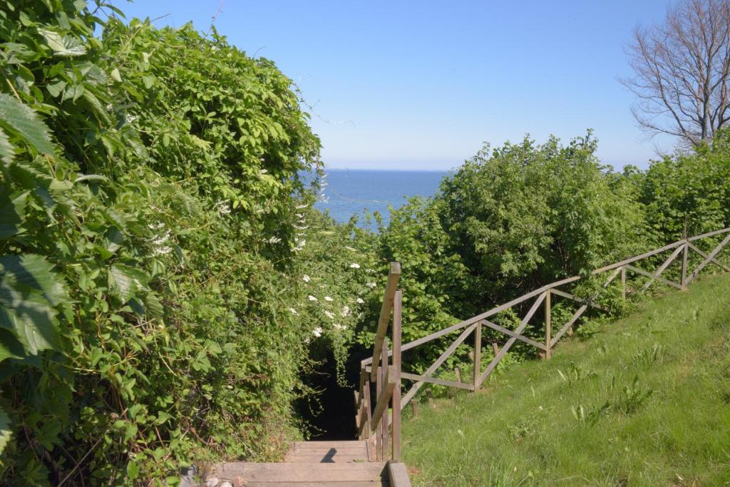 Příroda nedaleko apartmánu