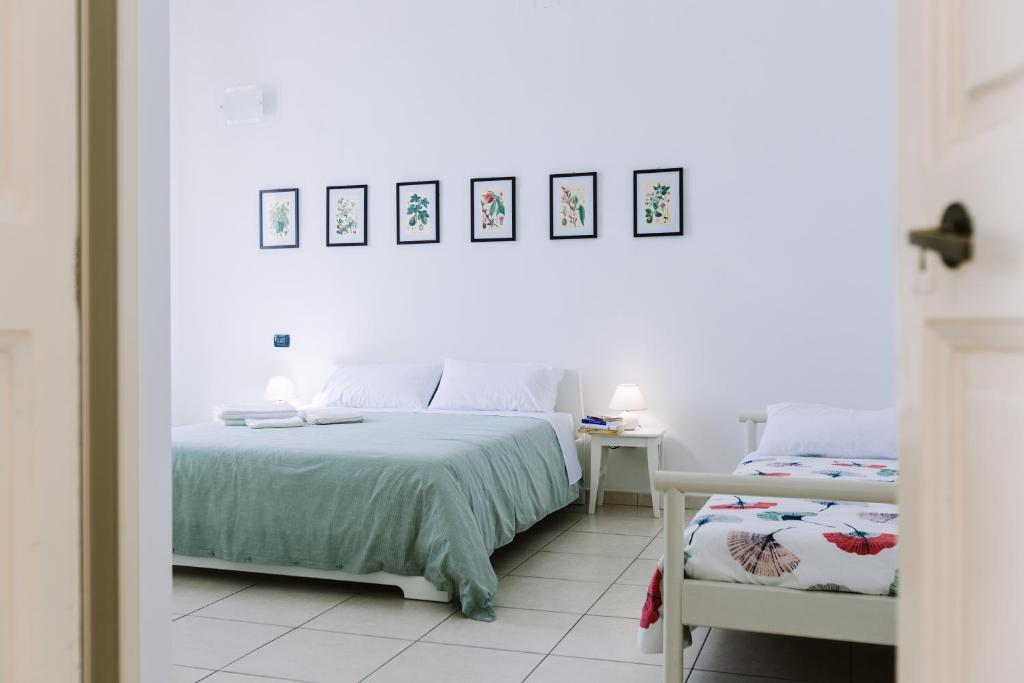 Pangea e Panthálassa B&B - 1