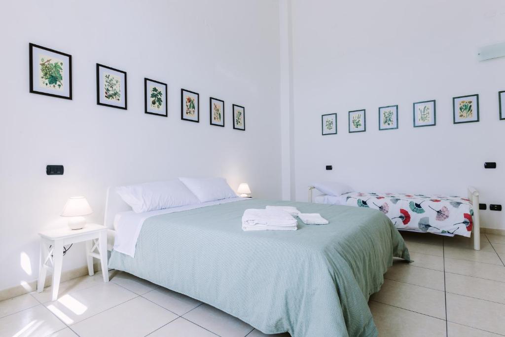 Pangea e Panthálassa B&B - 4