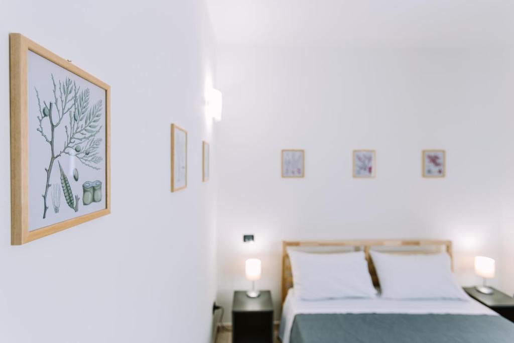 Pangea e Panthálassa B&B - 11