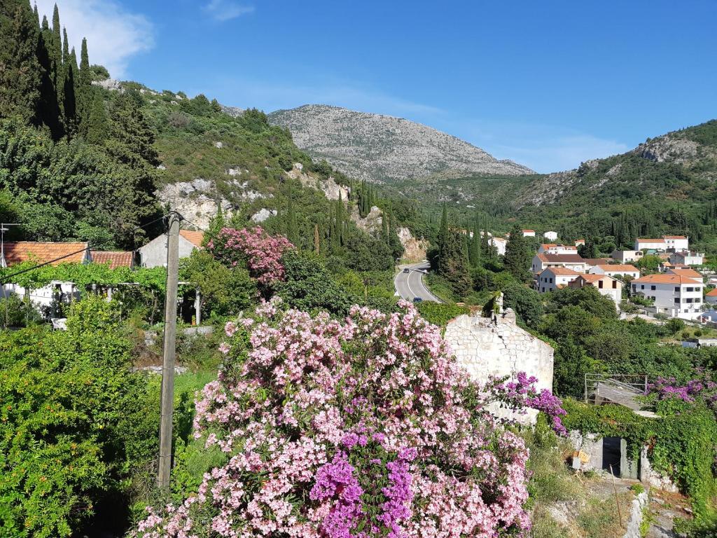 Príroda v okolí apartmánu
