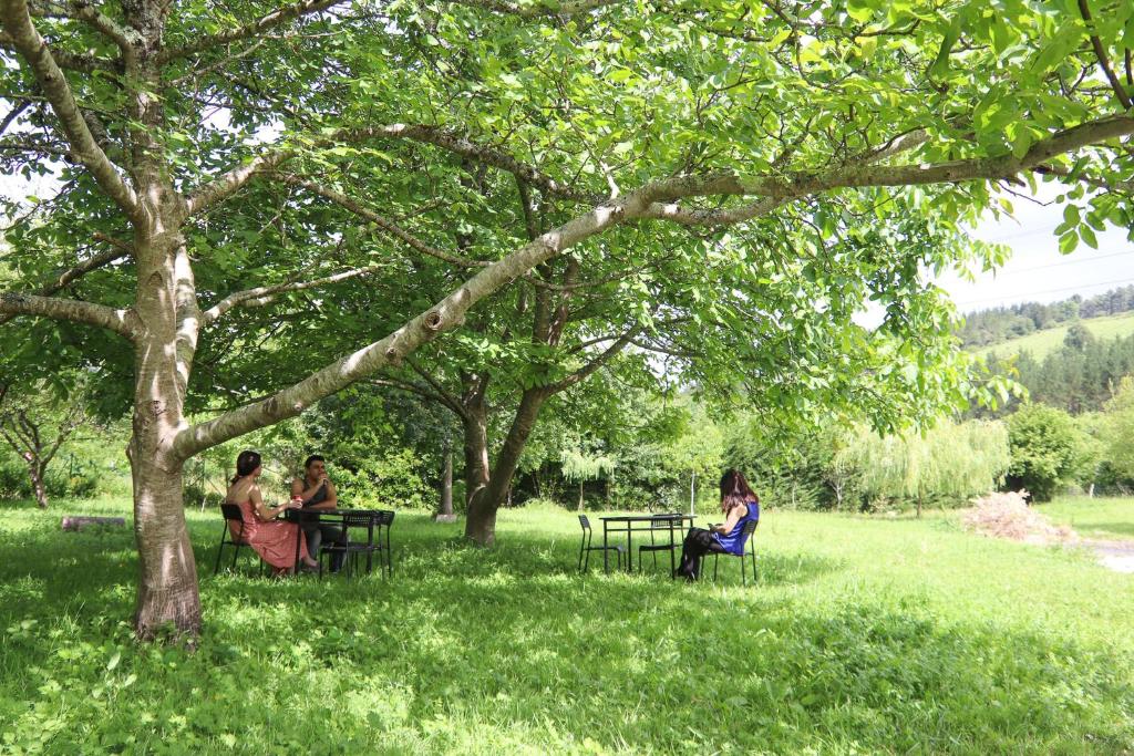 Hosté ubytování Albergue de Peregrinos Gerekiz