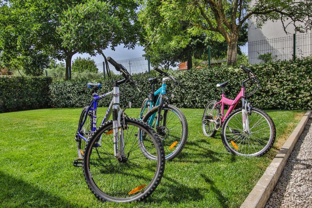 Jazda na bicykli v okolí ubytovania Villa Elizabet