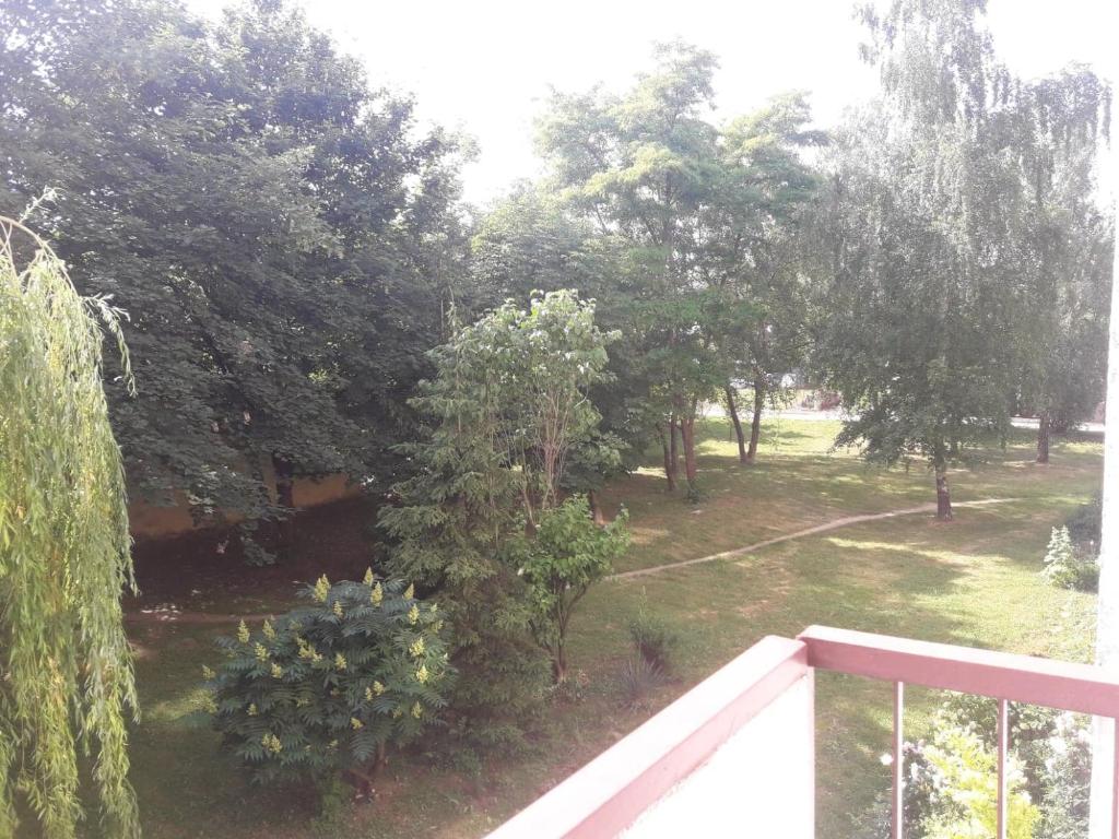 Apartament Królewski - 8