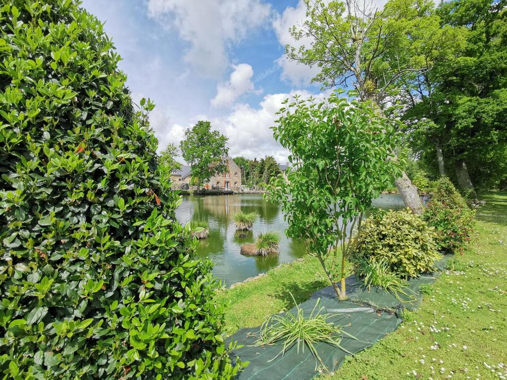 ein Wasserkörper zwischen zwei großen Büschen in der Unterkunft Claquerel in Sartilly