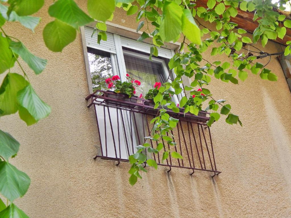 Balkón nebo terasa v ubytování Apartman Centar