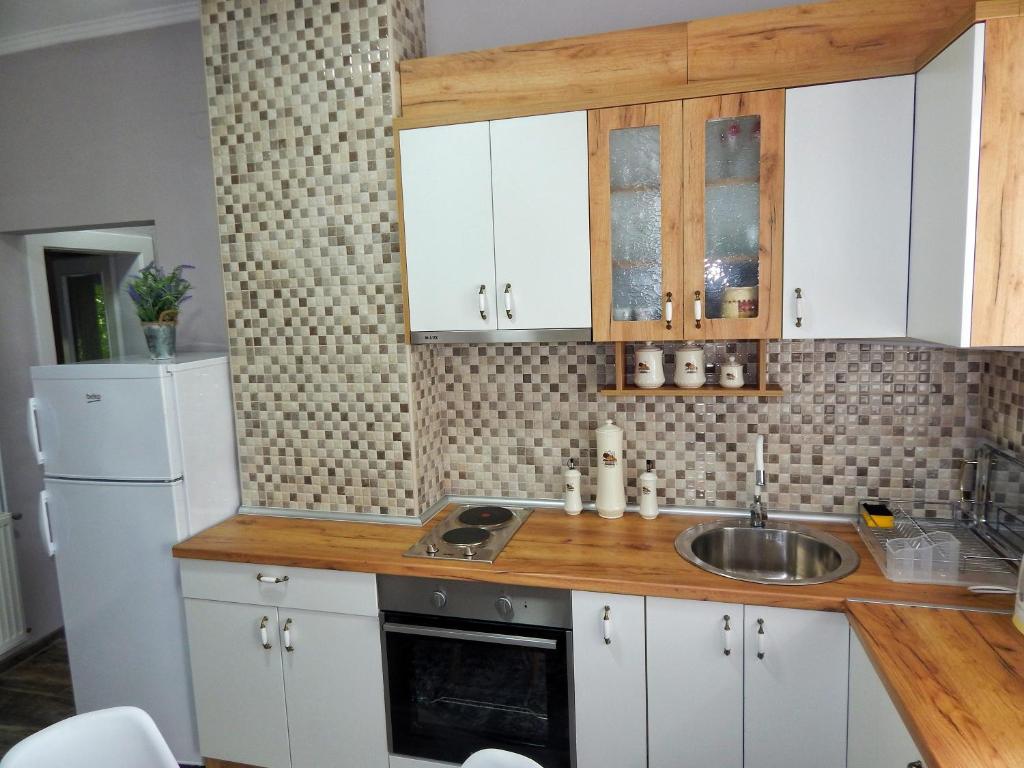 Kuchyň nebo kuchyňský kout v ubytování Apartman Centar