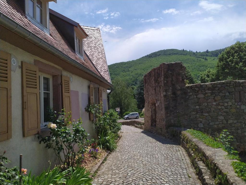 La Grande Terrine - Gîtes Les Potiers – photo 42