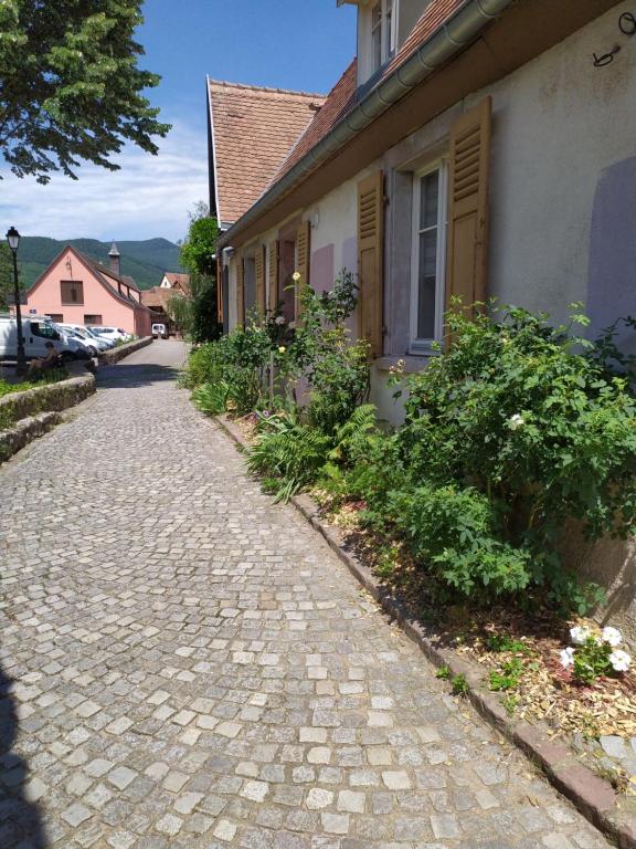 La Grande Terrine - Gîtes Les Potiers – photo 41