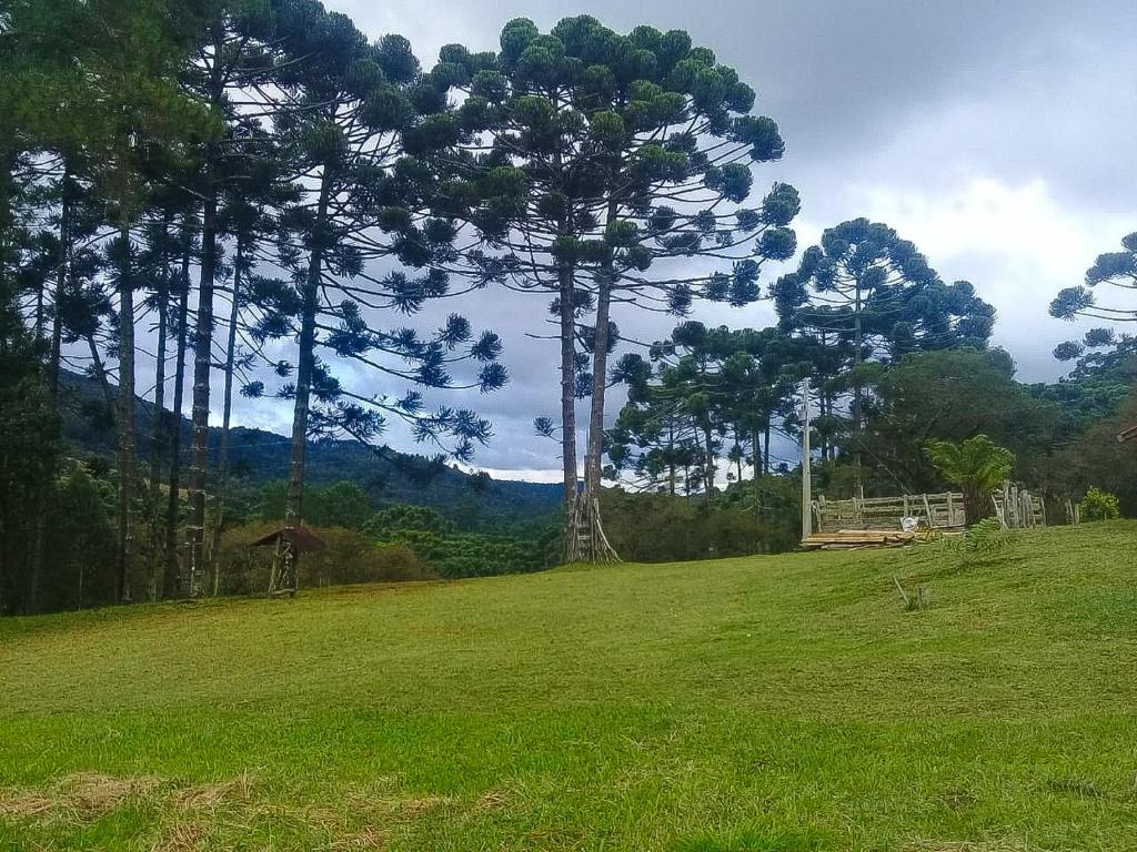  Sítio Pinho Bravo
