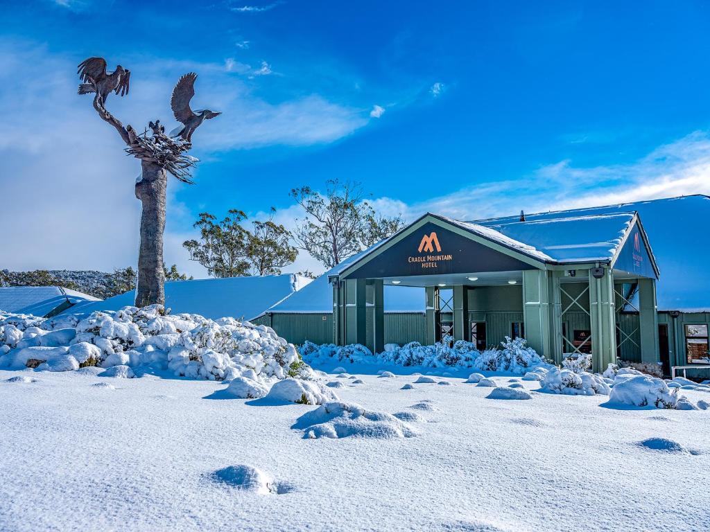 a building with a tree in the snow at Cradle Mountain Hotel in Cradle Mountain