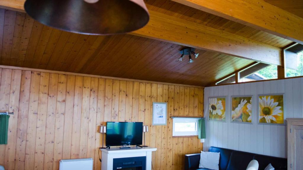 TV a/nebo společenská místnost v ubytování Vallée Les Etoiles