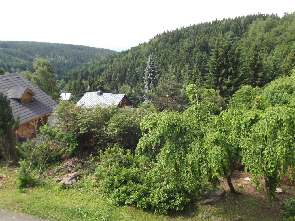 Pokrajina v okolici lovske koče