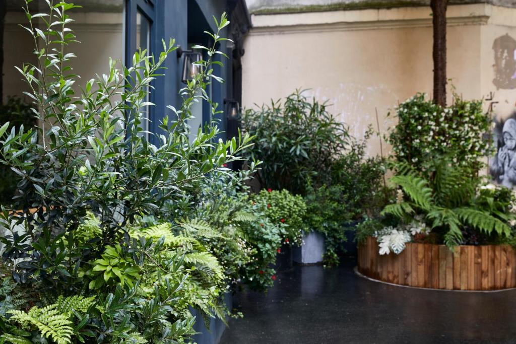 Hotel Taylor - Resim 45