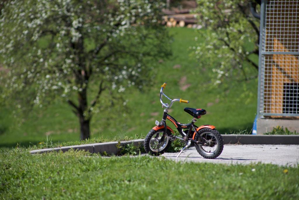 Fotografie z fotogalerie ubytování Apartments Tourist Farm Štorman with EV Ch-Station v destinaci Tržič