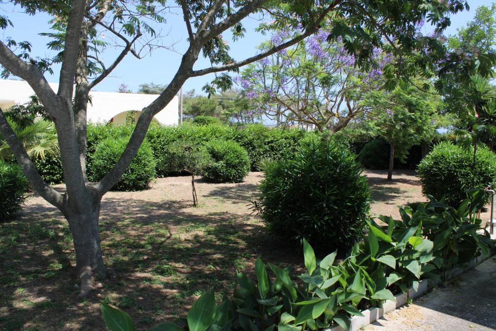 A garden outside casa blu