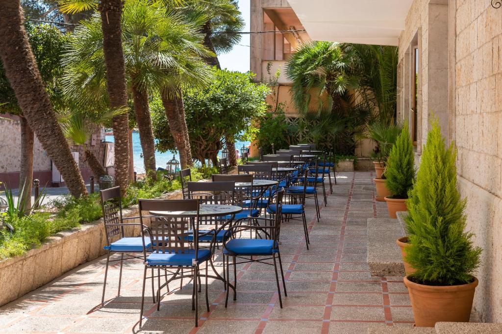 Zahrada ubytování Hotel Gaya
