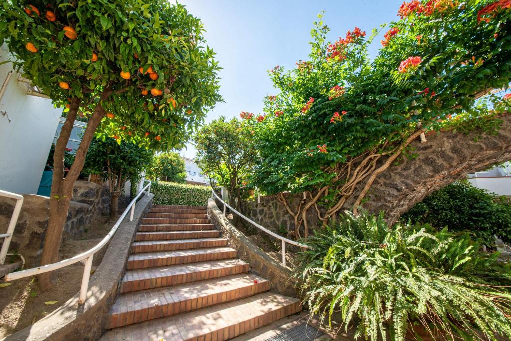 Zahrada ubytování Appartamenti Ischia la Sentinella