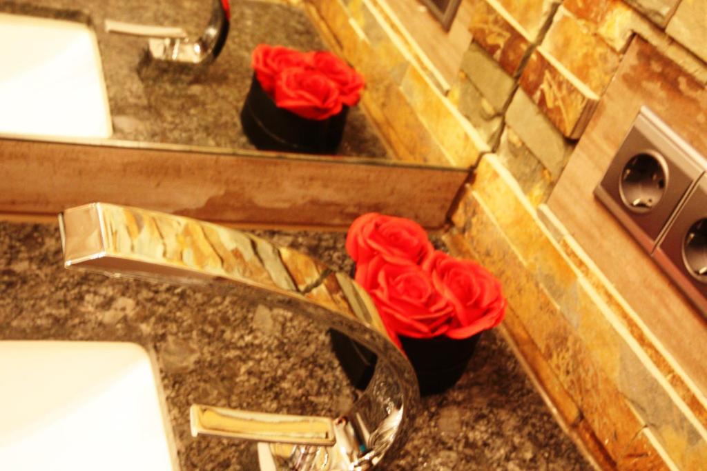 VacApps Apartments - Resim 10