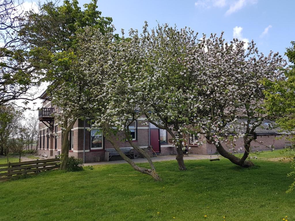 une maison avec des arbres devant elle dans l'établissement Hunsingo Texel, à De Cocksdorp