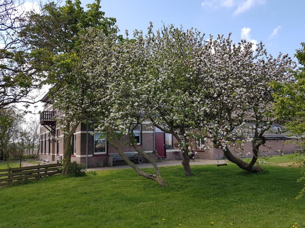 Zahrada ubytování Hunsingo Texel