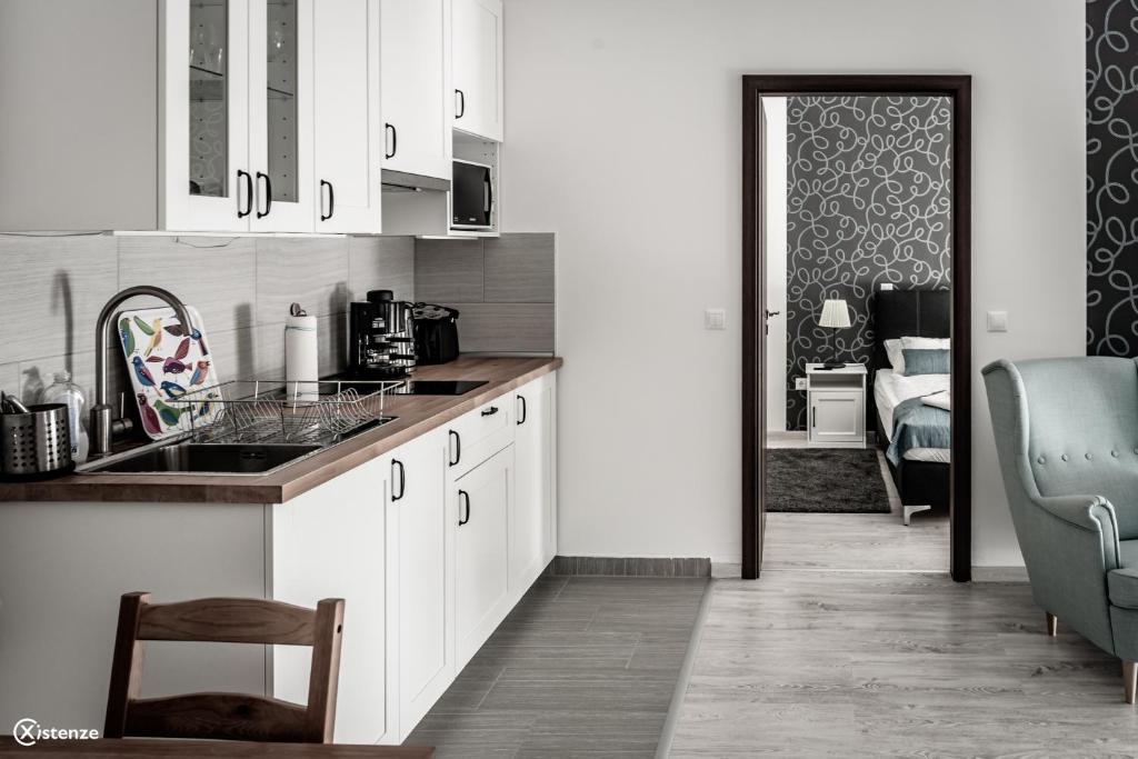 Kuchyň nebo kuchyňský kout v ubytování Aranymandula apartmanok