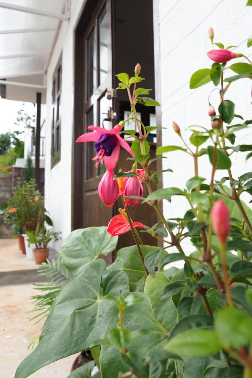 Foto sihtkohas Kalaw asuva majutusasutuse Hinode Hotel ဟိနောဒေ့ဟိုတယ် galeriist