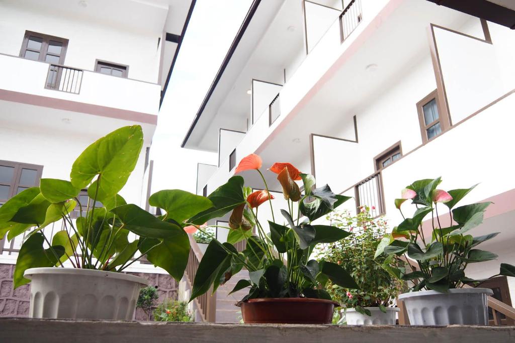 Foto sihtkohas Kalaw asuva majutusasutuse Hinode Hotel ဟိနောဒေ့ဟိုတယ် galeriist