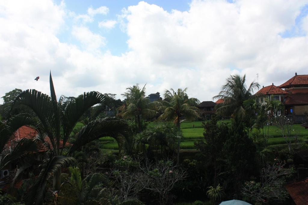 a group of palm trees and houses in a field at Raditia Homestay in Ubud