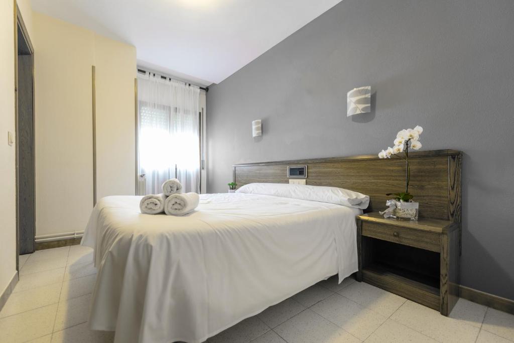 Postel nebo postele na pokoji v ubytování Ciudad de Jaca