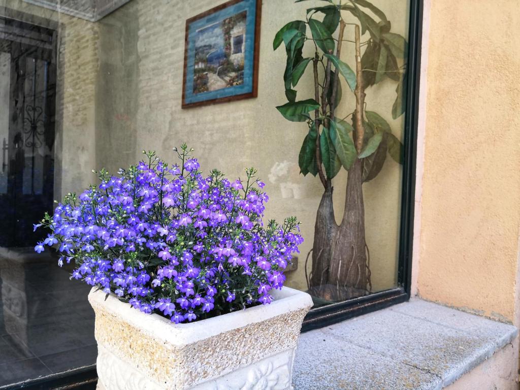Jardín al aire libre en Apartamentos Cocó