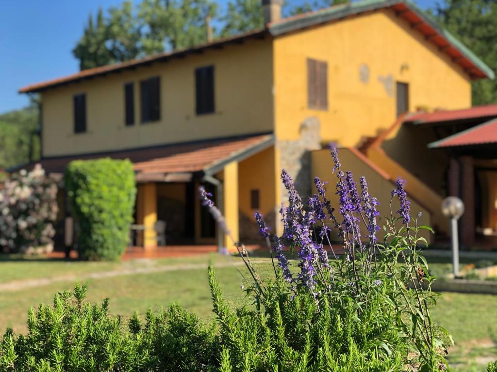 a house with purple flowers in front of a yard at Agriturismo Santa Lorica in Sassetta